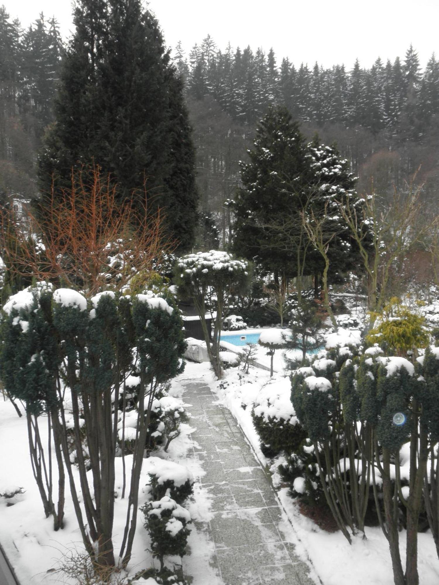 Pension U Kaktusu Karlsbad Exterior foto