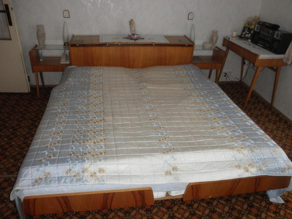 Pension U Kaktusu Karlsbad Zimmer foto