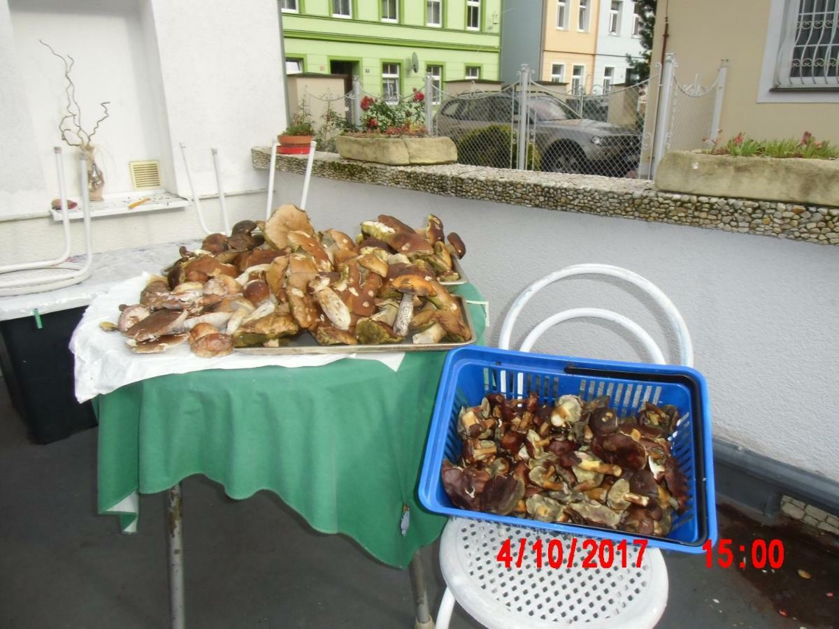 Pension U Kaktusu Karlsbad Exterior foto